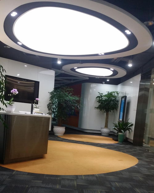 專注于網絡技術創新 上?；蹱木W絡科技的發展之路